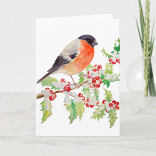 Bullfinch on Holly Branch in Snow Greeting Card