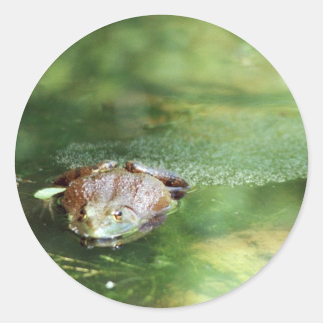 Bullfrog Classic Round Sticker (Front)