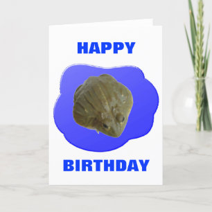 Bullfrog Customisable Birthday Card