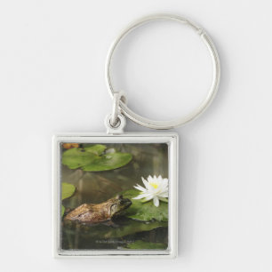 Bullfrog in Lily Pond Key Ring