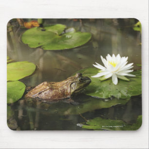 Bullfrog in Lily Pond Mouse Mat