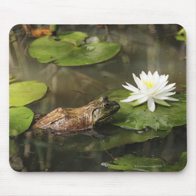 Bullfrog in Lily Pond Mouse Mat (Front)