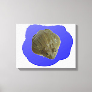 Bullfrog in Pond Canvas Print