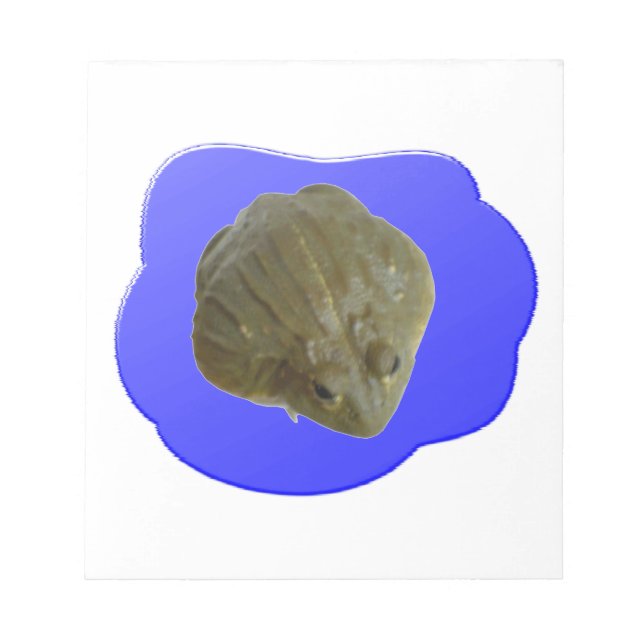 Bullfrog in Pond Notepad (Front)