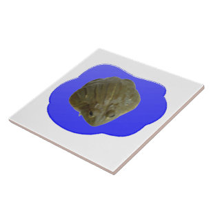 Bullfrog in Pond Tile