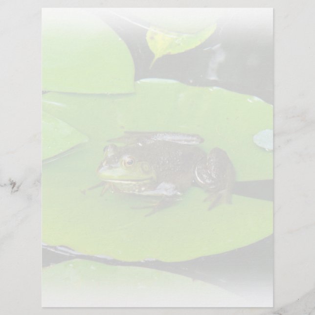 Bullfrog on Lilypads (Front)