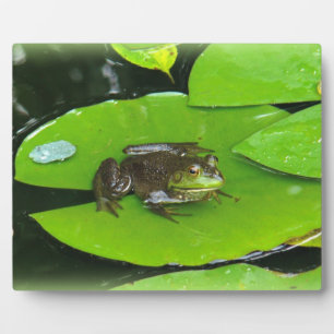 Bullfrog on Lilypads Plaque