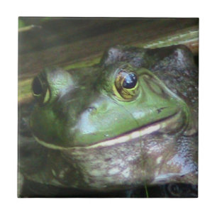 Bullfrog Photo Tile