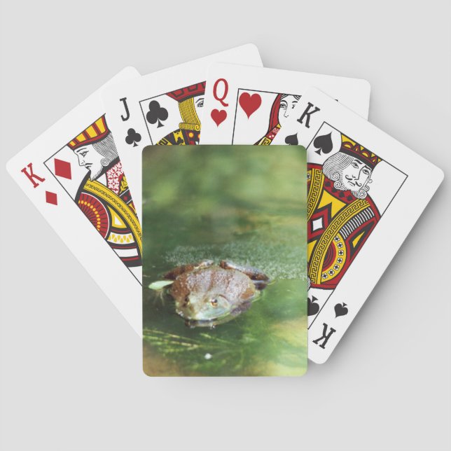 Bullfrog Playing Cards (Back)