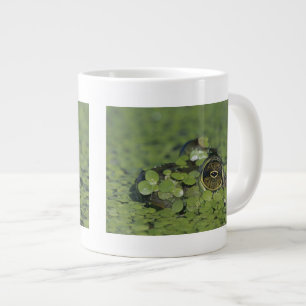 Bullfrog, Rana catesbeiana, adult in duckweed Large Coffee Mug