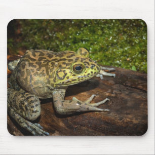 Bullfrog, Rana catesbeiana Mouse Mat
