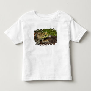 Bullfrog, Rana catesbeiana Toddler T-Shirt