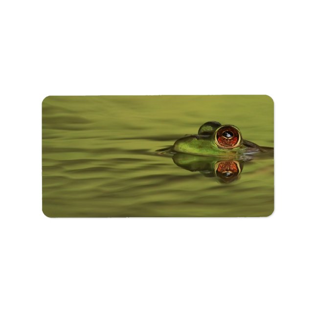 Bullfrog Swimming Address Labels (Front)