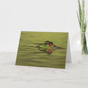 Bullfrog Swimming Folded Greeting Card
