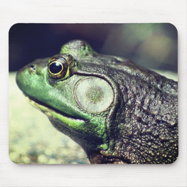Bullfrog Thoughts Nature Mouse Mat (Front)