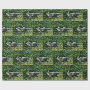 Bullfrog Waiting For His Lady Art Wrapping Paper