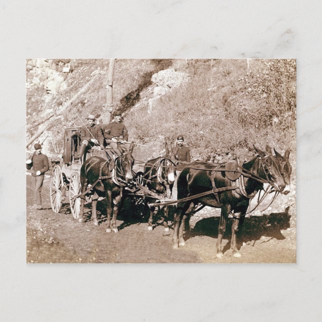 Bullion Stage Coach Vintage Postcard (Front)