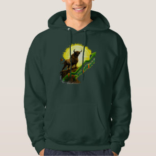 Bullish Stock Market Sunrise Trader Hoodie