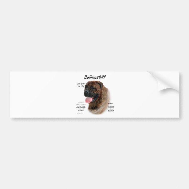 Bullmastiff (brindle) History Design Bumper Sticker (Front)