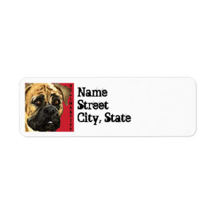 Bullmastiff Colour Block