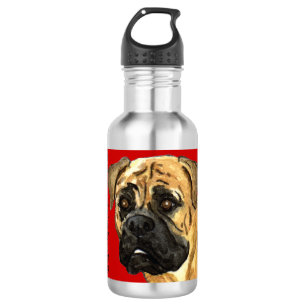 Bullmastiff Colour Block 532 Ml Water Bottle
