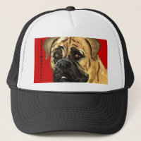 Bullmastiff Colour Block