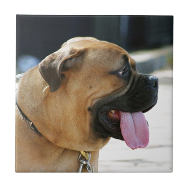 Bullmastiff Dog Tile (Front)