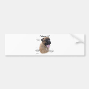 Bullmastiff (fawn) History Design Bumper Sticker