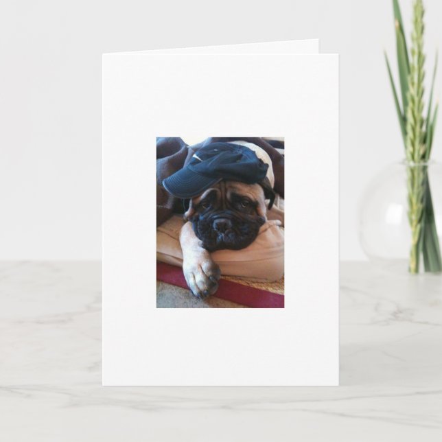 Bullmastiff I'm Sorry card or Invitation (Front)