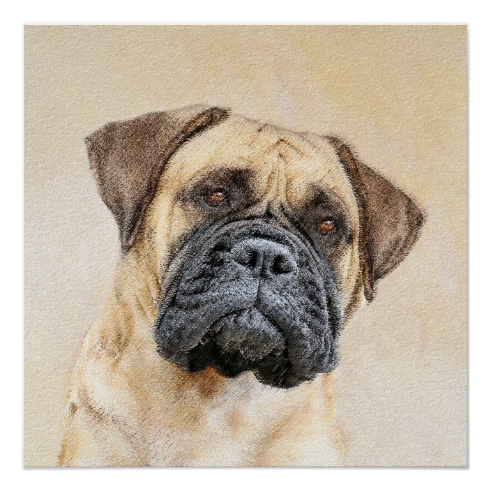 Bullmastiff Painting - Cute Original Dog Art Poster | Zazzle.co.uk