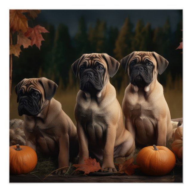 Bullmastiff  Puppy Autumn Delight Pumpkin Poster (Front)