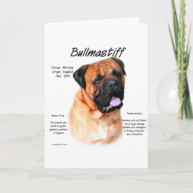 Bullmastiff (red) History Design Card (Front)