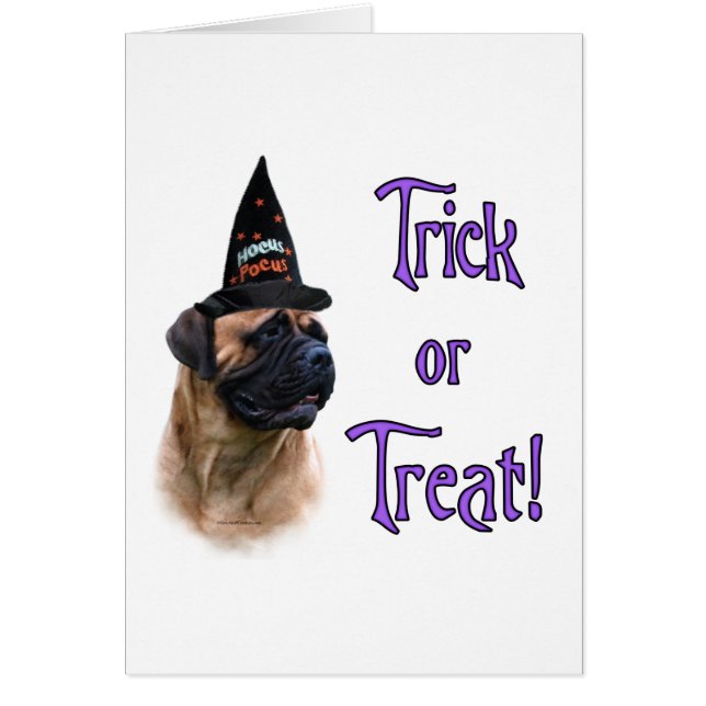 Bullmastiff Trick (Front)