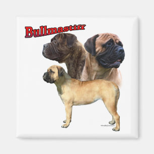 Bullmastiff Trio 2 - Magnet