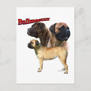 Bullmastiff Trio 2 Postcard