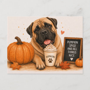Bullmastiff Warm Pumpkin Spice Autumn Postcard