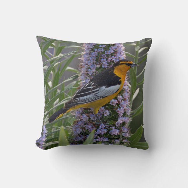 Bullock's Oriole Cushion (Front)