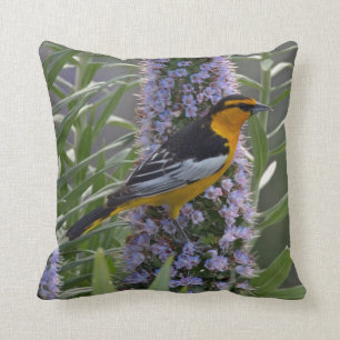 Bullock's Oriole Cushion
