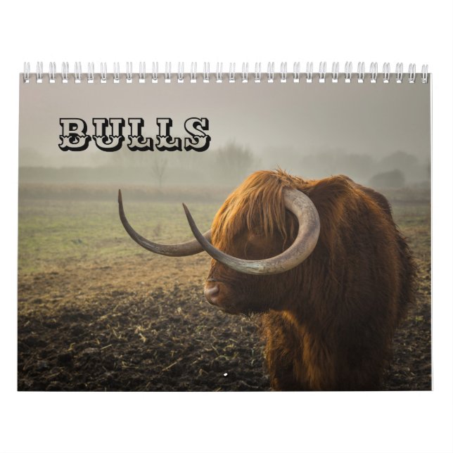Bulls Calendar (Cover)