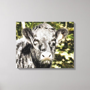 BULLS CANVAS PRINT