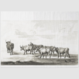 Bulls Ephemera Decoupage Vintage Farm Cow Tissue Paper