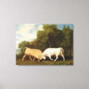 Bulls Fighting, 1786 (oil on panel) Canvas Print