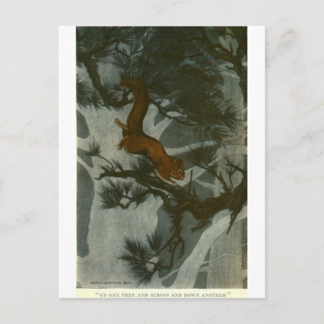 Bull's Folk of the Woods Postcard (Front)