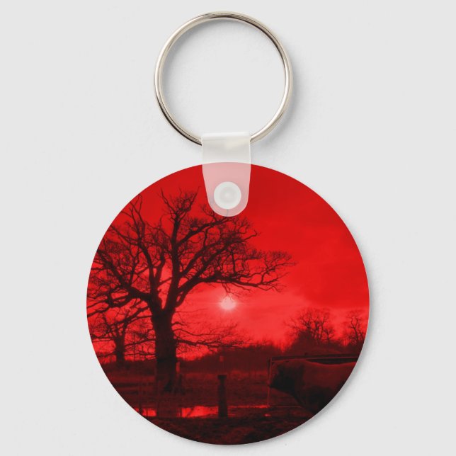 BULLS KEY RING (Front)