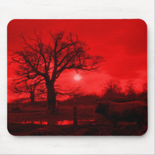 BULLS MOUSE MAT