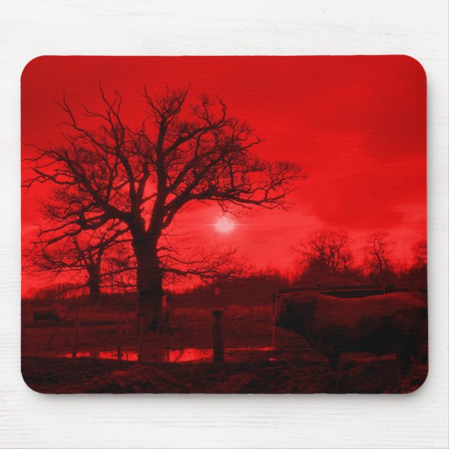 BULLS MOUSE MAT (Front)