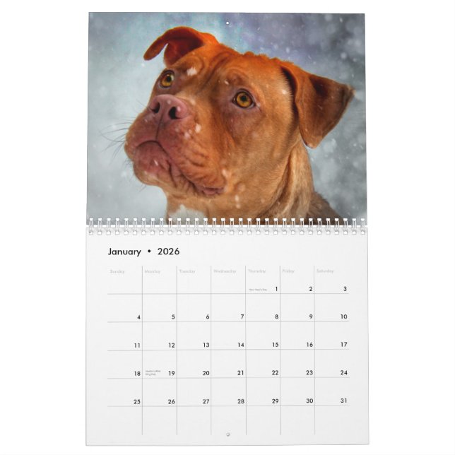 Bully Beauty Calendar (Jan 2026)