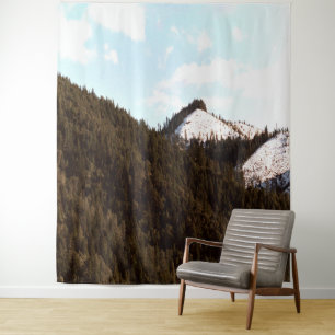 Bully Choop with snow.... Tapestry