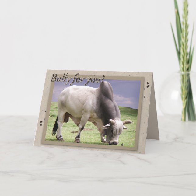 Bully For You! Birthday Greetings Card (Front)