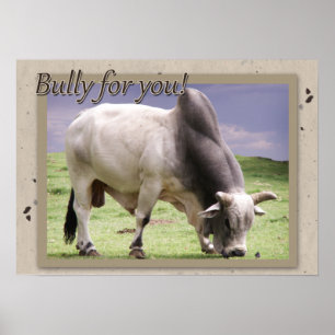 Bully For You! Brahma Bull Poster Print
